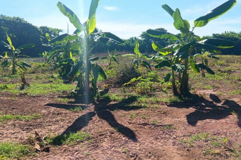 Land in Nong Khai, Thailand 21600 sq.m. № 139424 - photo 12