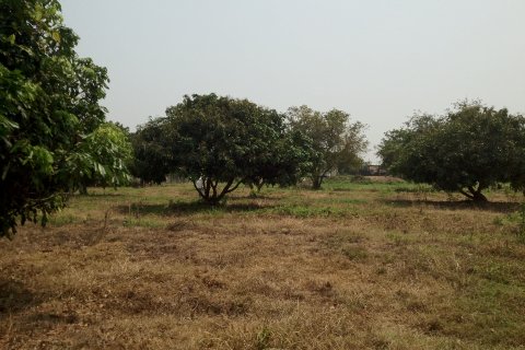 Land in Nong Khai, Thailand 21600 sq.m. № 139424 - photo 13