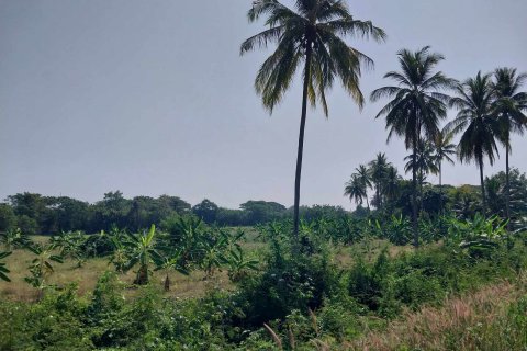 Land in Nong Khai, Thailand 21600 sq.m. № 139424 - photo 4