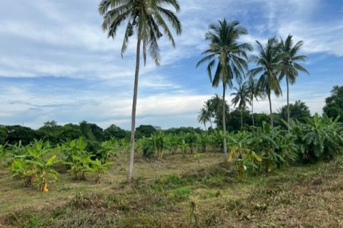 Land in Nong Khai, Thailand 21600 sq.m. № 139424 - photo 1