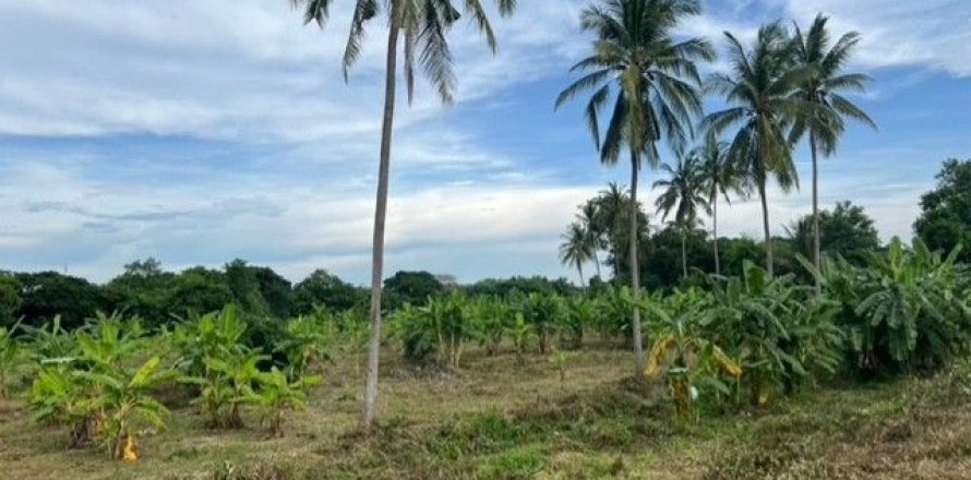 Land in Nong Khai, Thailand 21600 sq.m. № 139424
