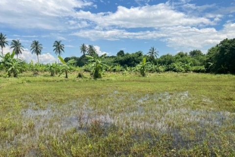 Land in Nong Khai, Thailand 21600 sq.m. № 139424 - photo 3