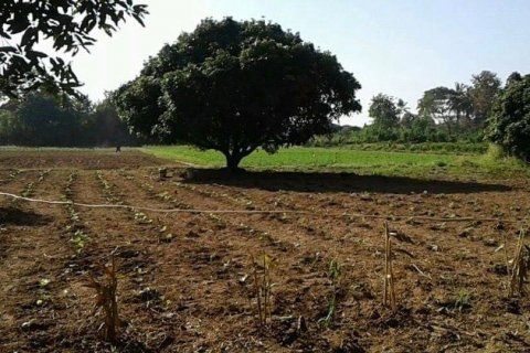 Land in Nong Khai, Thailand 21600 sq.m. № 139424 - photo 15