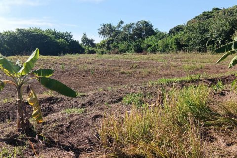 Land in Nong Khai, Thailand 21600 sq.m. № 139424 - photo 10