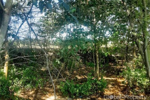 Land in Rayong, Thailand № 163984 - photo 5