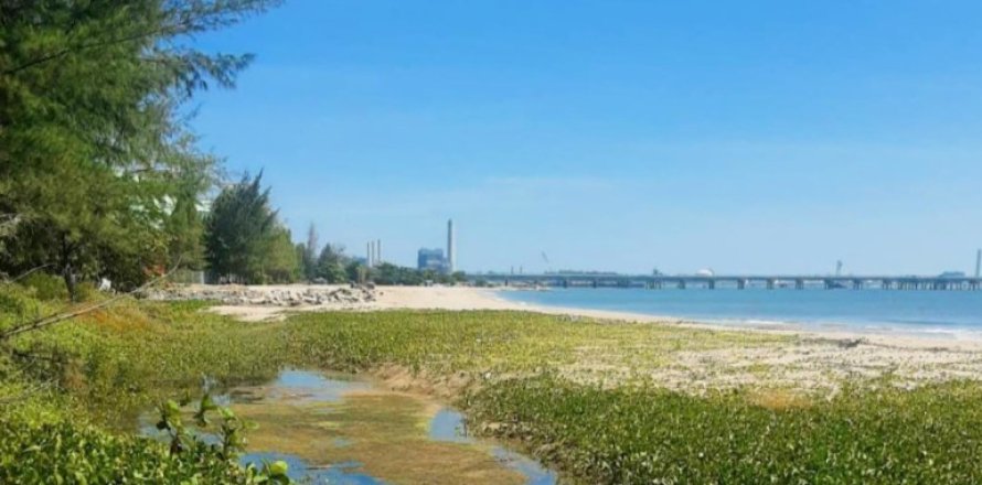 Land in Rayong, Thailand № 163984