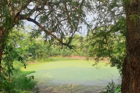 Земельный участок в Сарабури, Таиланд 98064м2 № 148229 - фото 10