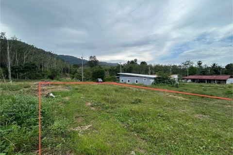 Земельный участок в Пхукете, Таиланд 1600м2  № 148227 - фото 6