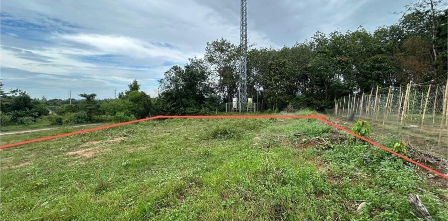 Земельный участок в Пхукете, Таиланд 1600м2  № 148227