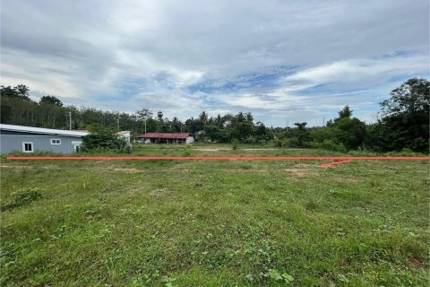 Земельный участок в Пхукете, Таиланд 1600м2  № 148227 - фото 5