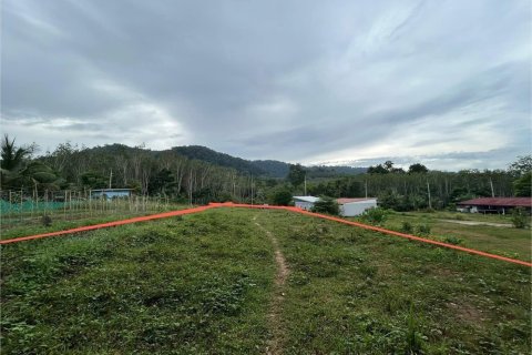 Земельный участок в Пхукете, Таиланд 1600м2  № 148227 - фото 4