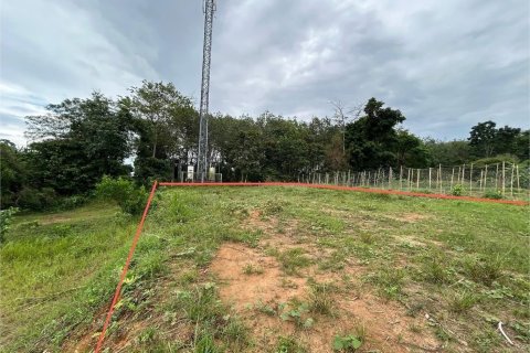 Земельный участок в Пхукете, Таиланд 1600м2  № 148227 - фото 3