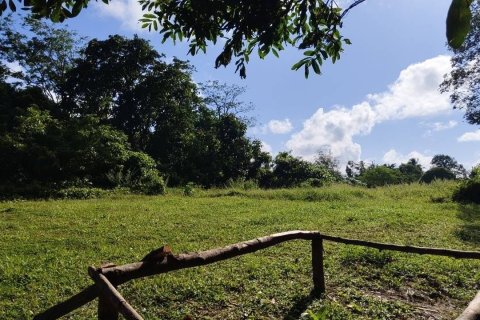 Земельный участок в Пхангнге, Таиланд 1308м2  № 148225 - фото 3