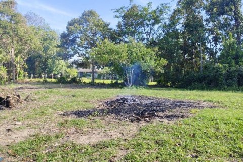 Земельный участок в Пхангнге, Таиланд 1308м2  № 148225 - фото 4