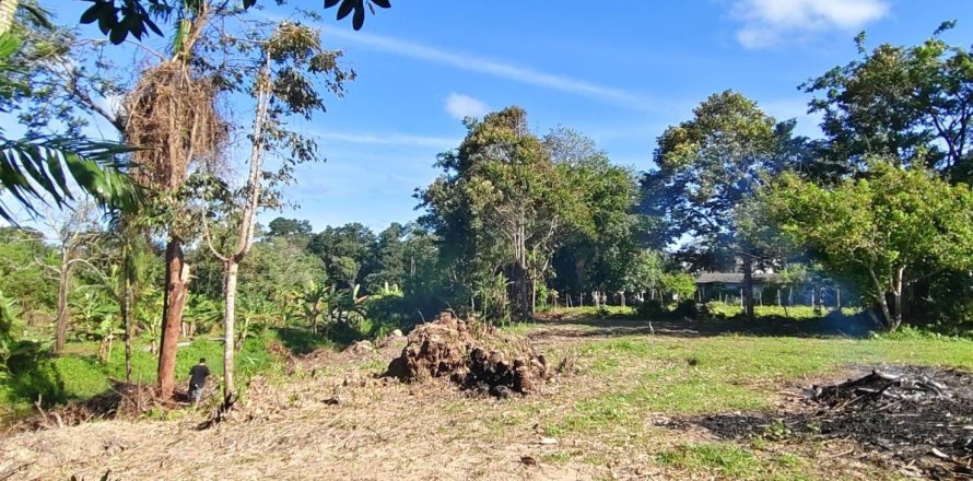 Земельный участок в Пхангнге, Таиланд 1308м2  № 148225