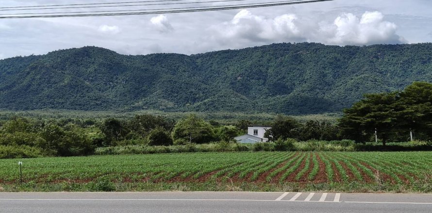 Terrain à Pak Chong, Thaïlande 4 m2 № 161726