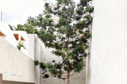 Villa à Ko Samui, Thaïlande 3 chambres № 173479 - photo 4