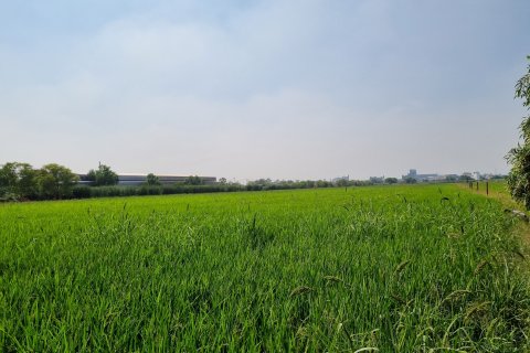 Земельный участок в Кхлонг Луанге, Таиланд 22400м2  № 139629 - фото 4