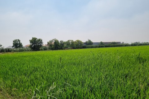 Земельный участок в Кхлонг Луанге, Таиланд 22400м2  № 139629 - фото 5