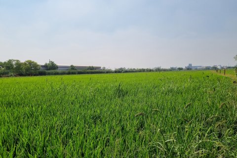 Земельный участок в Кхлонг Луанге, Таиланд 22400м2  № 139629 - фото 2