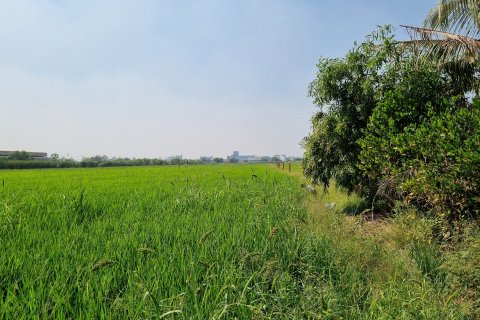 Земельный участок в Кхлонг Луанге, Таиланд 22400м2  № 139629 - фото 3