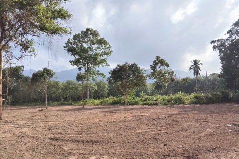 Terrain à Ko Samui, Thaïlande 6696 m2 № 160268
