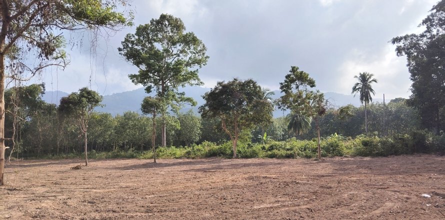 Terrain à Ko Samui, Thaïlande 6696 m2 № 160268