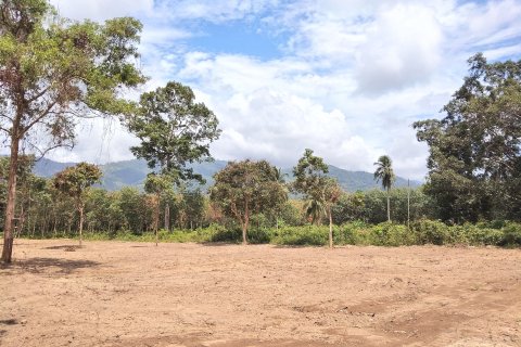 Terrain à Ko Samui, Thaïlande 6696 m2 № 160268 - photo 2