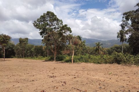 Terrain à Ko Samui, Thaïlande 6696 m2 № 160268 - photo 4