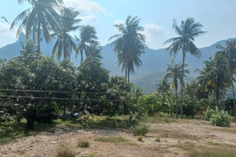 Земельный участок в Хуа Хине, Таиланд 4000м2  № 160269 - фото 2