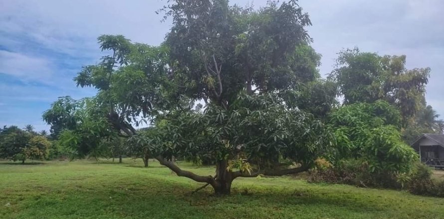 Земельный участок в Хуа Хине, Таиланд 4000м2  № 160269