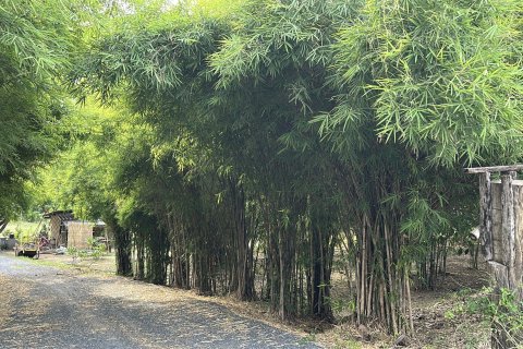 Villa in Tha Yang, Thailand 6 bedrooms № 147151 - photo 1