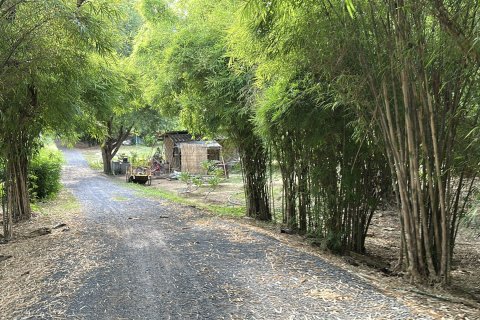 Villa in Tha Yang, Thailand 6 bedrooms № 147151 - photo 2