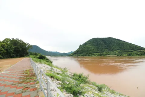 Land in Loei, Thailand 16000 sq.m. № 138352 - photo 6