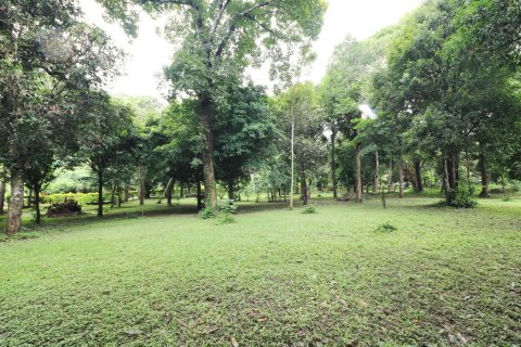 Land in Loei, Thailand 16000 sq.m. № 138352 - photo 12