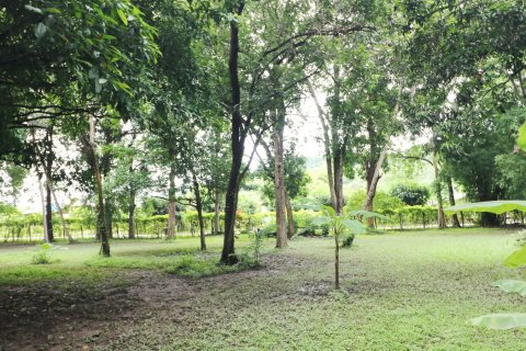 Land in Loei, Thailand 16000 sq.m. № 138352 - photo 15