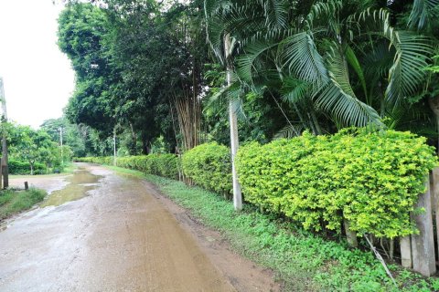 Land in Loei, Thailand 16000 sq.m. № 138352 - photo 18