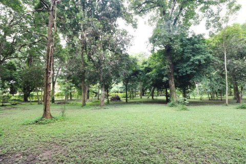 Land in Loei, Thailand 16000 sq.m. № 138352 - photo 11