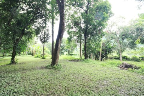 Land in Loei, Thailand 16000 sq.m. № 138352 - photo 9