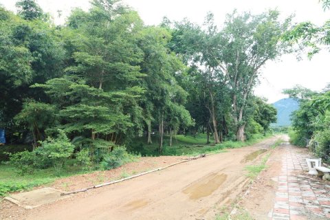 Land in Loei, Thailand 16000 sq.m. № 138352 - photo 19