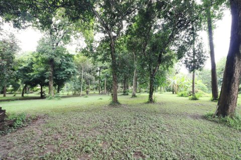 Land in Loei, Thailand 16000 sq.m. № 138352 - photo 10