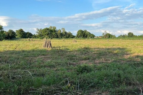 Terrain à Pattaya, Thaïlande 13160 m2 № 154168 - photo 6