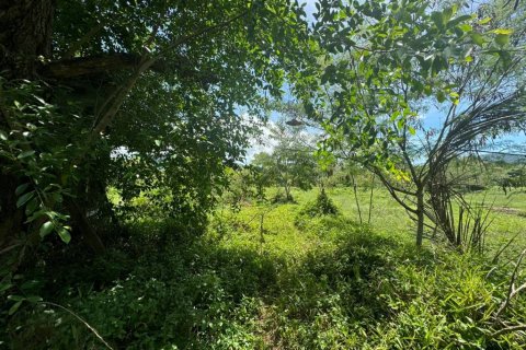 Земельный участок в Самуи, Таиланд  № 114117 - фото 5