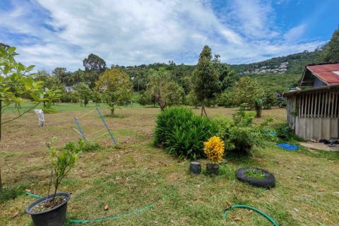 Land in Ko Samui, Thailand 800 sq.m. № 137583 - photo 2