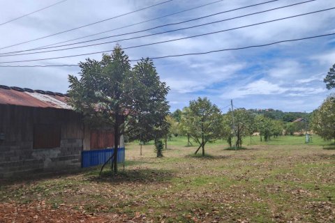 Land in Ko Samui, Thailand 800 sq.m. № 137583 - photo 5