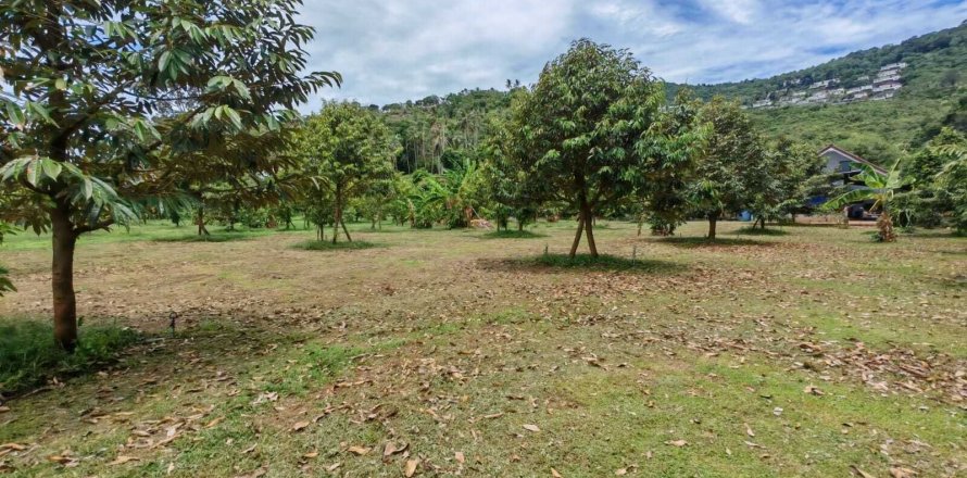 Land in Ko Samui, Thailand 800 sq.m. № 137583