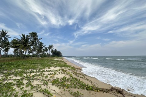 Terrain à Hua Hin, Thaïlande 4825 m2 № 161993 - photo 4