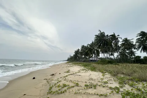 Terrain à Hua Hin, Thaïlande 4825 m2 № 161993 - photo 2