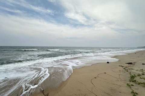 Terrain à Hua Hin, Thaïlande 4825 m2 № 161993 - photo 6