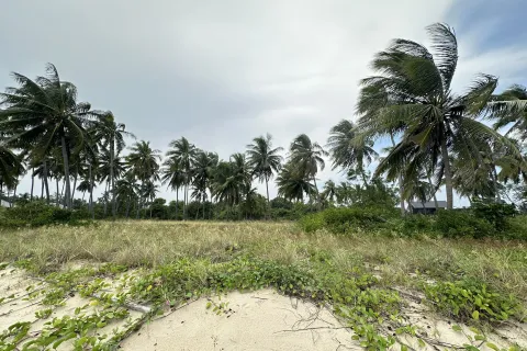 Terrain à Hua Hin, Thaïlande 4825 m2 № 161993 - photo 3